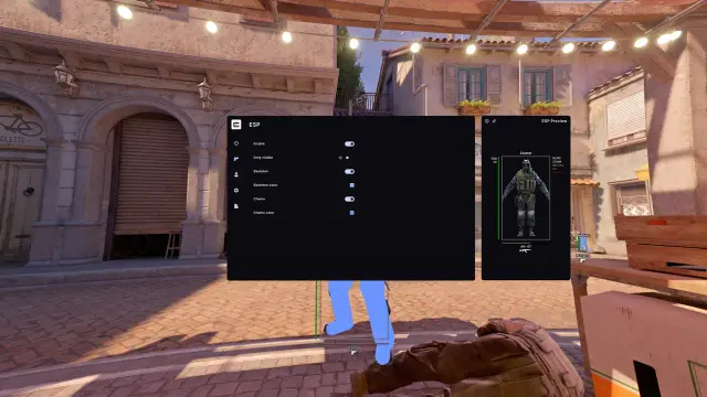 Cluster CS2 ESP settings for player boxes, names, health and skeletons