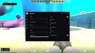 CS2 Cheats: A Review of the Best CS Hack cluster.center — image 2