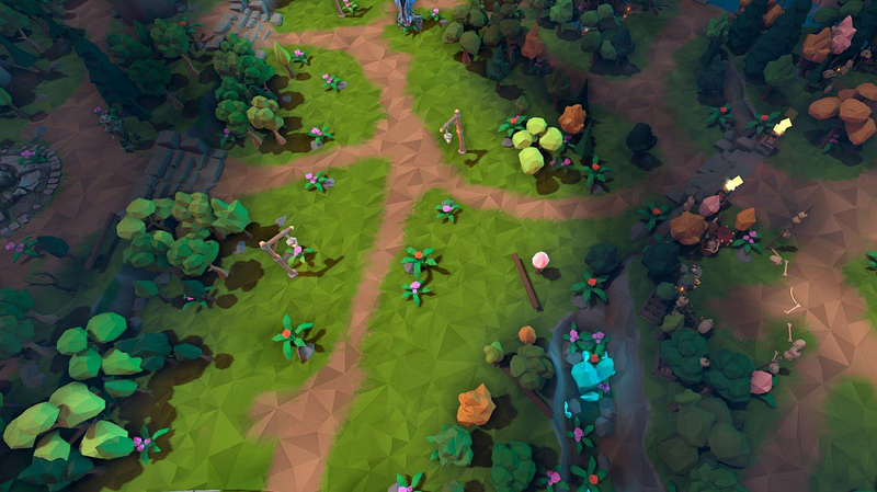 One of the lines on the map with low poly enabled